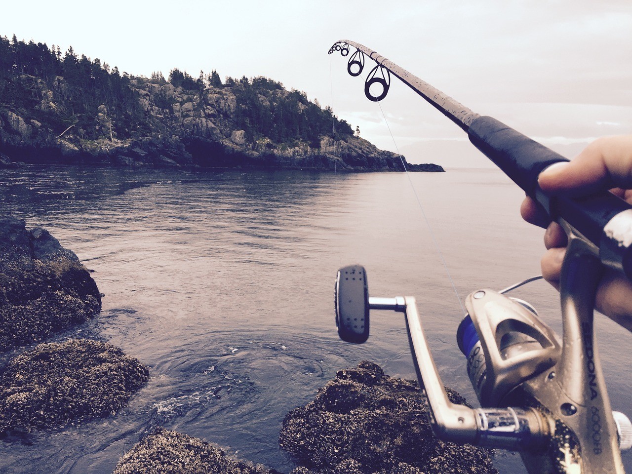 Fishing reel casting