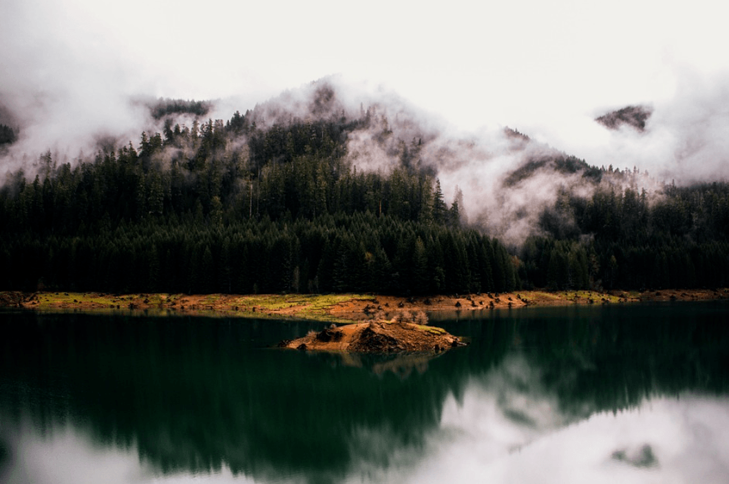 Oregon lake scene, showing where good fishing may be