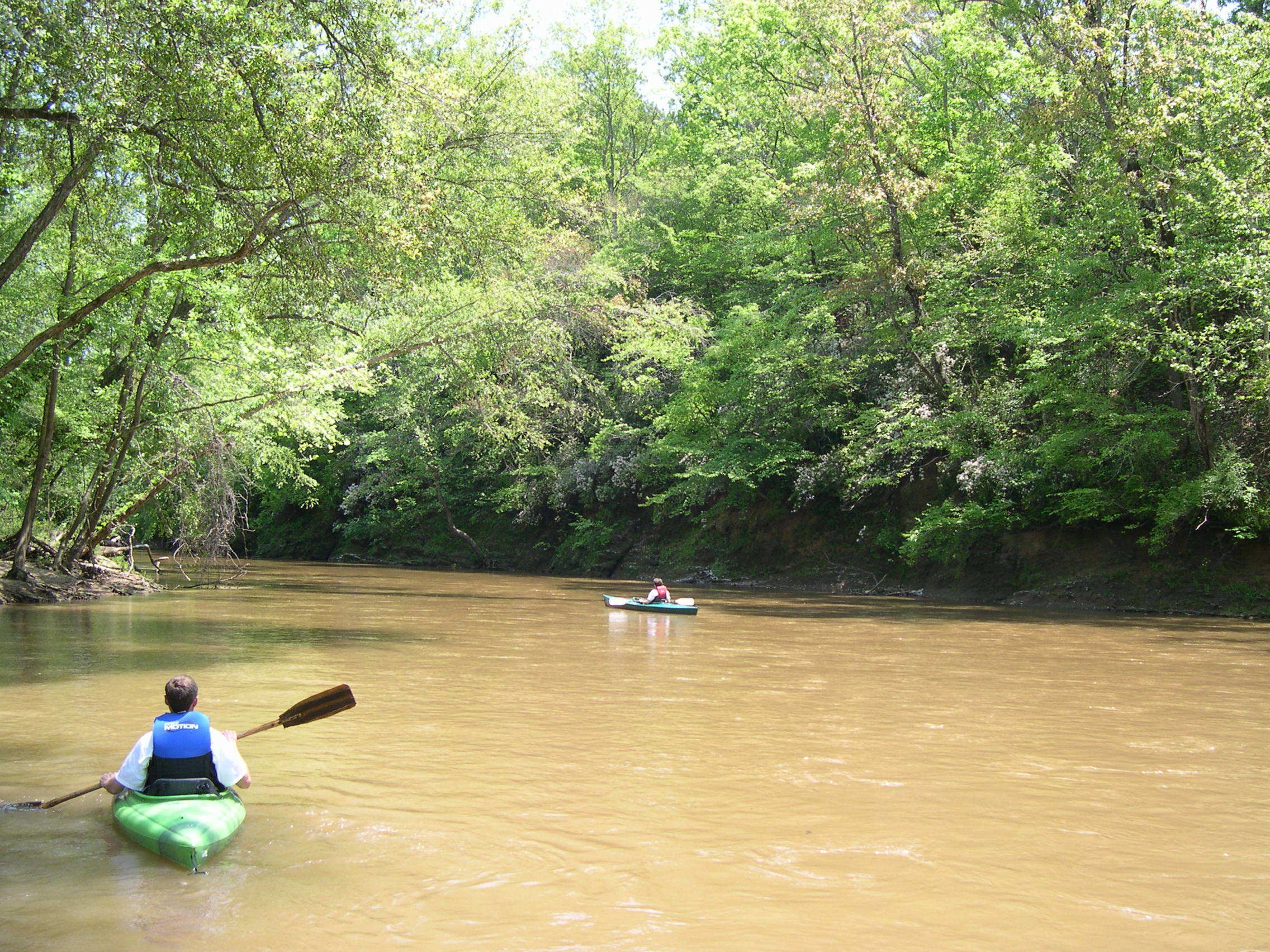 tyger river canoe trail